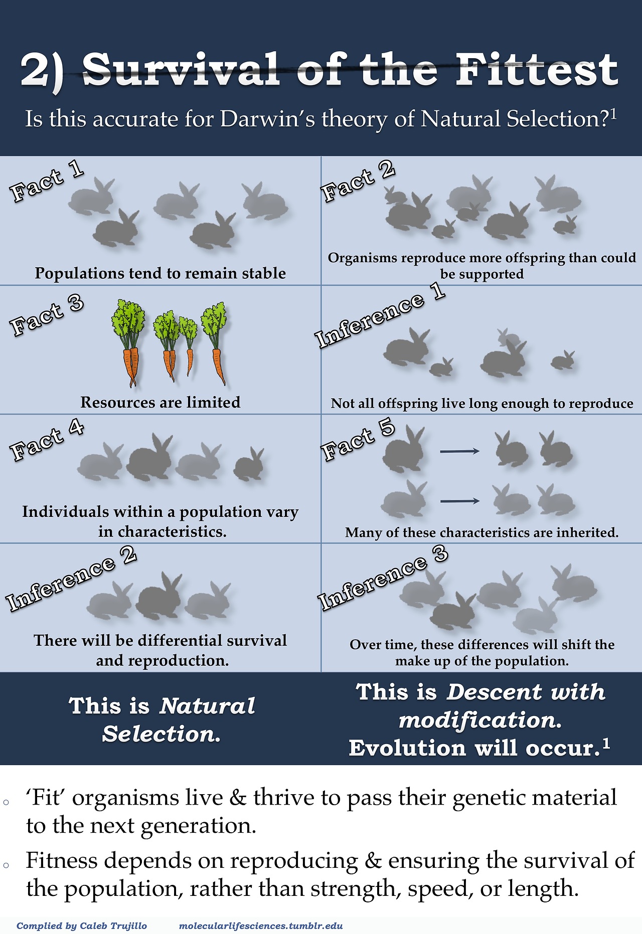 Top Five Misconceptions About Evolution, According To Science