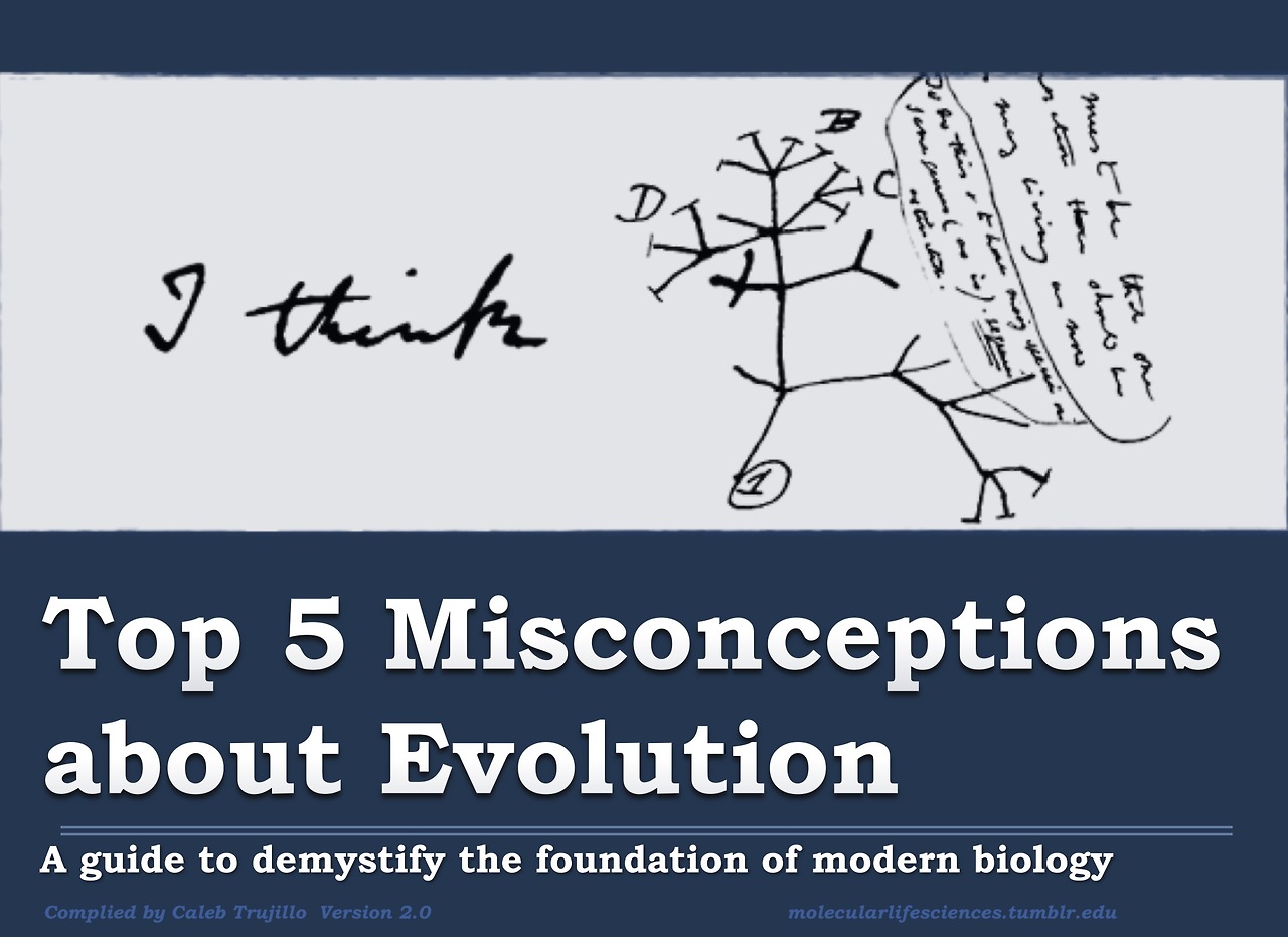 Top Five Misconceptions About Evolution, According To Science
