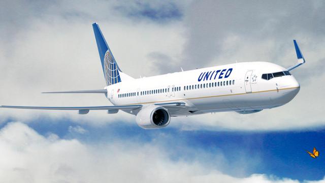 United Is Using Its Planes To Track Butterflies And Birds From Above