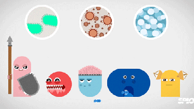 This Video Explains How Our Immune Systems Work