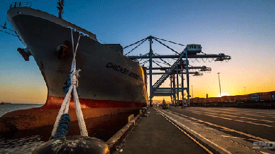 Fascinating Time-Lapse Video Shows One Month Of Activity At A Busy Port