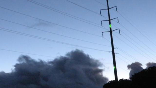 Hawaii Uses Lasers To Scare Endangered Birds Away From Power Lines