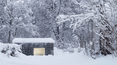 This Cosy Log Cabin In The Swiss Alps Is Entirely Made Out Of Concrete