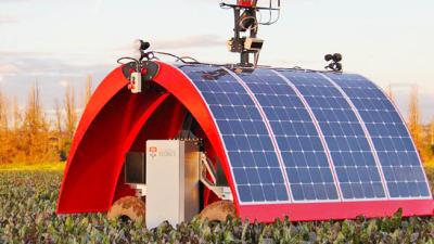 Monster Machines: Australian Solar-Powered Ladybug Might Just Save Global Agriculture