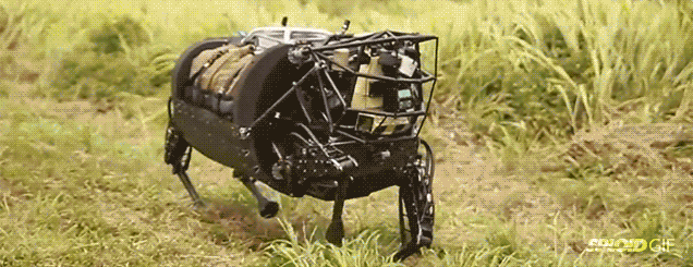 Big Dog Robot Gets Its First Taste Of Real-World Action With US Marines