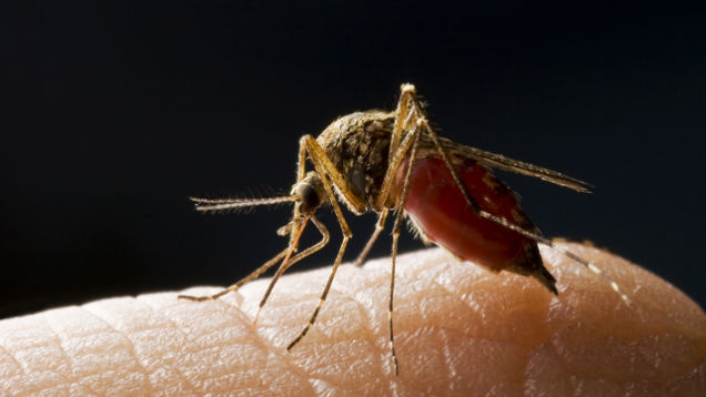 Anti-Missile Tech Is Being Used To Find Malaria Before It Strikes
