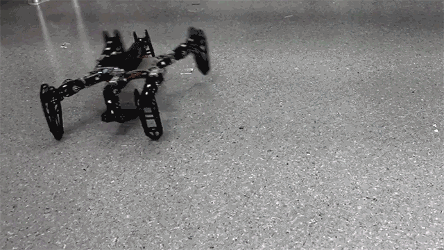 Watch This Bot With A Broken Leg Learn To Walk Straight Again