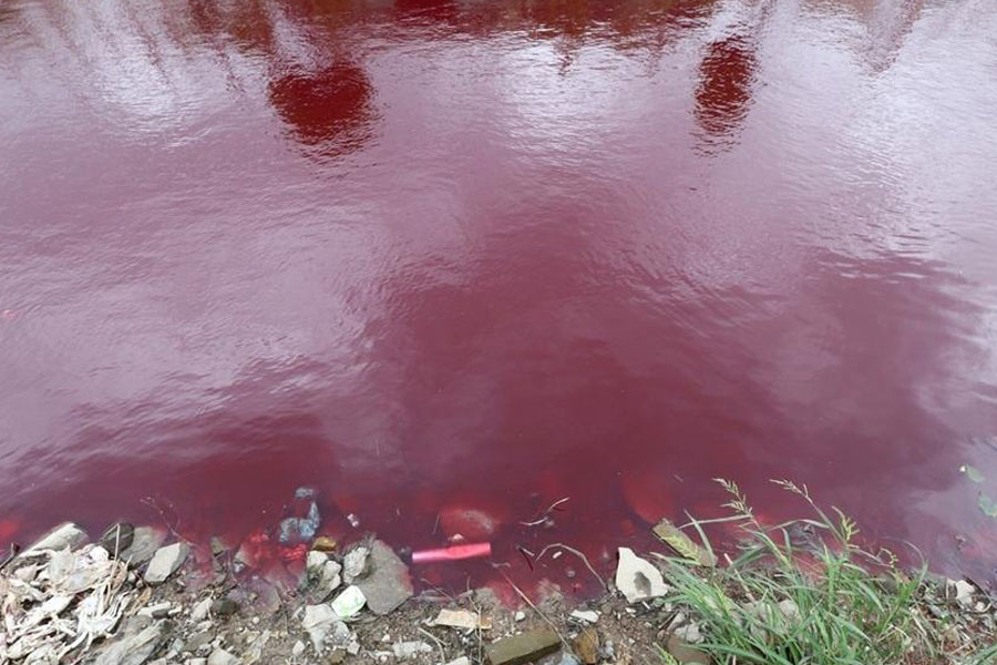 River In China Mysteriously Turns Blood Red Overnight