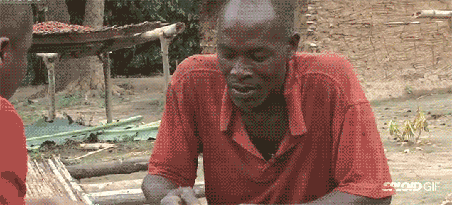Cocoa Farmers Trying Chocolate For The First Time Is A Must-Watch