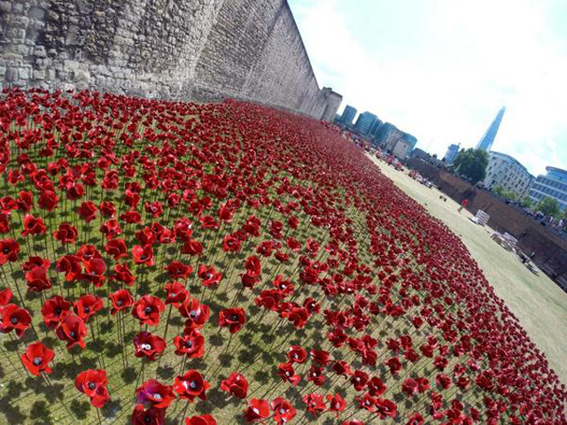 888,246 Handmade Poppies Surround The Tower Of London To Commemorate WWI