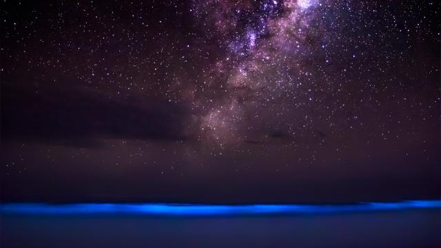 Rare View Of The Ocean Glowing Blue Against The Milky Way