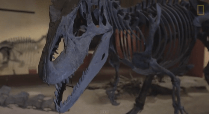 Dismantling A 150-Million-Year-Old Dinosaur Is Just As Tough As You’d Think