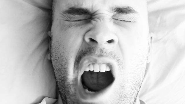 Why We Yawn (And Why It Really Is Contagious)