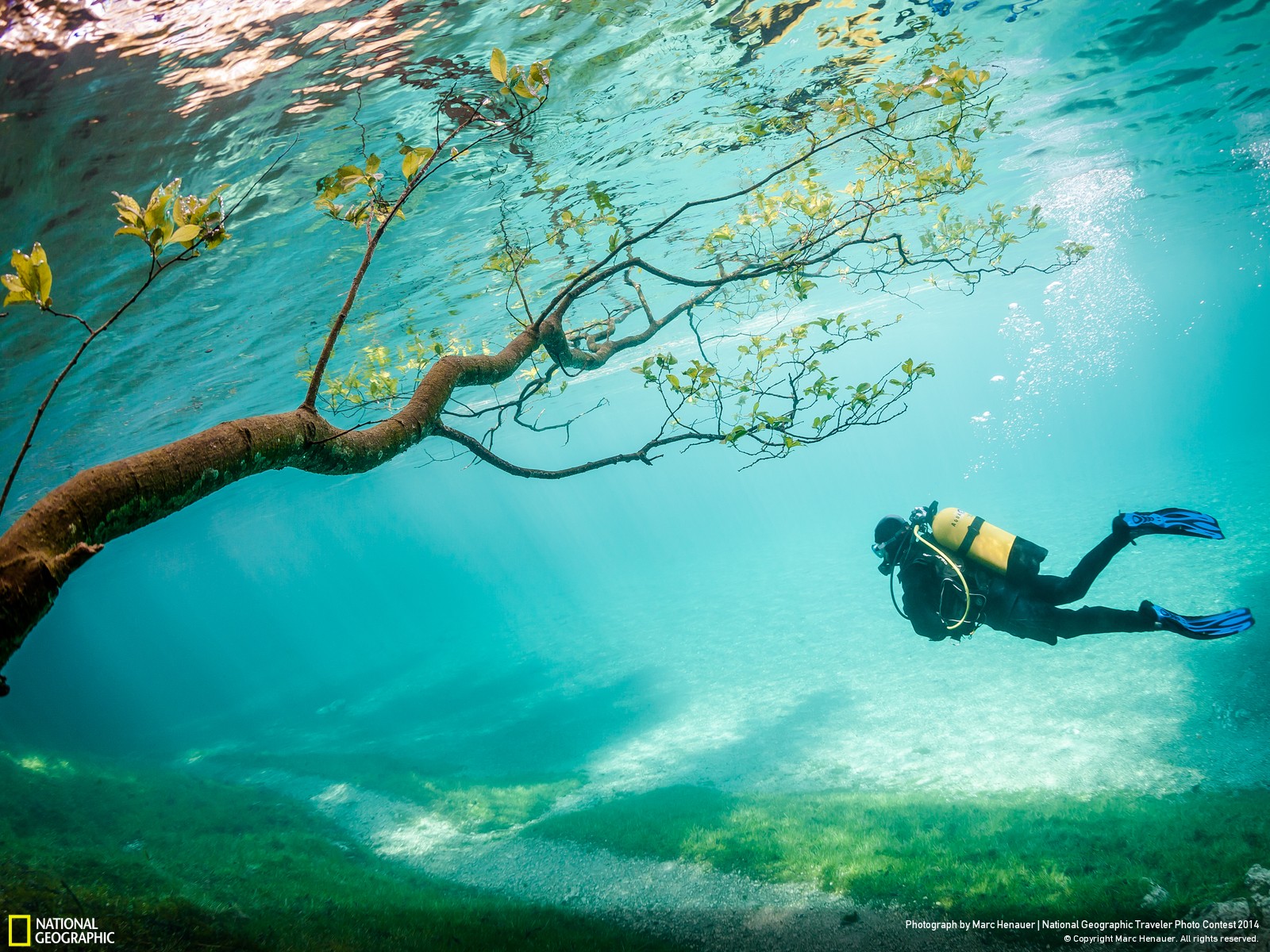 The Winners Of The National Geographic Photo Contest Are Unreal