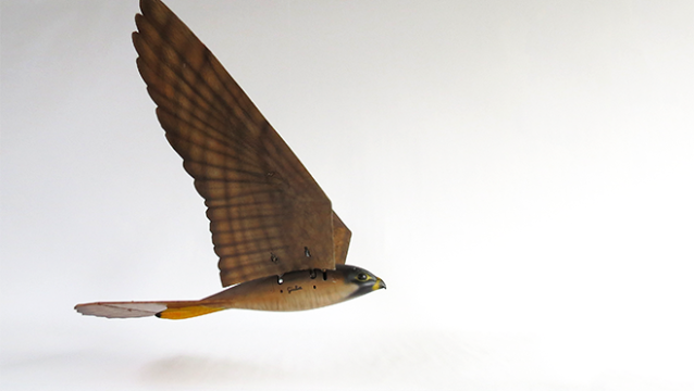 This 3D-Printed Falcon Is A Flying Robot Scarecrow