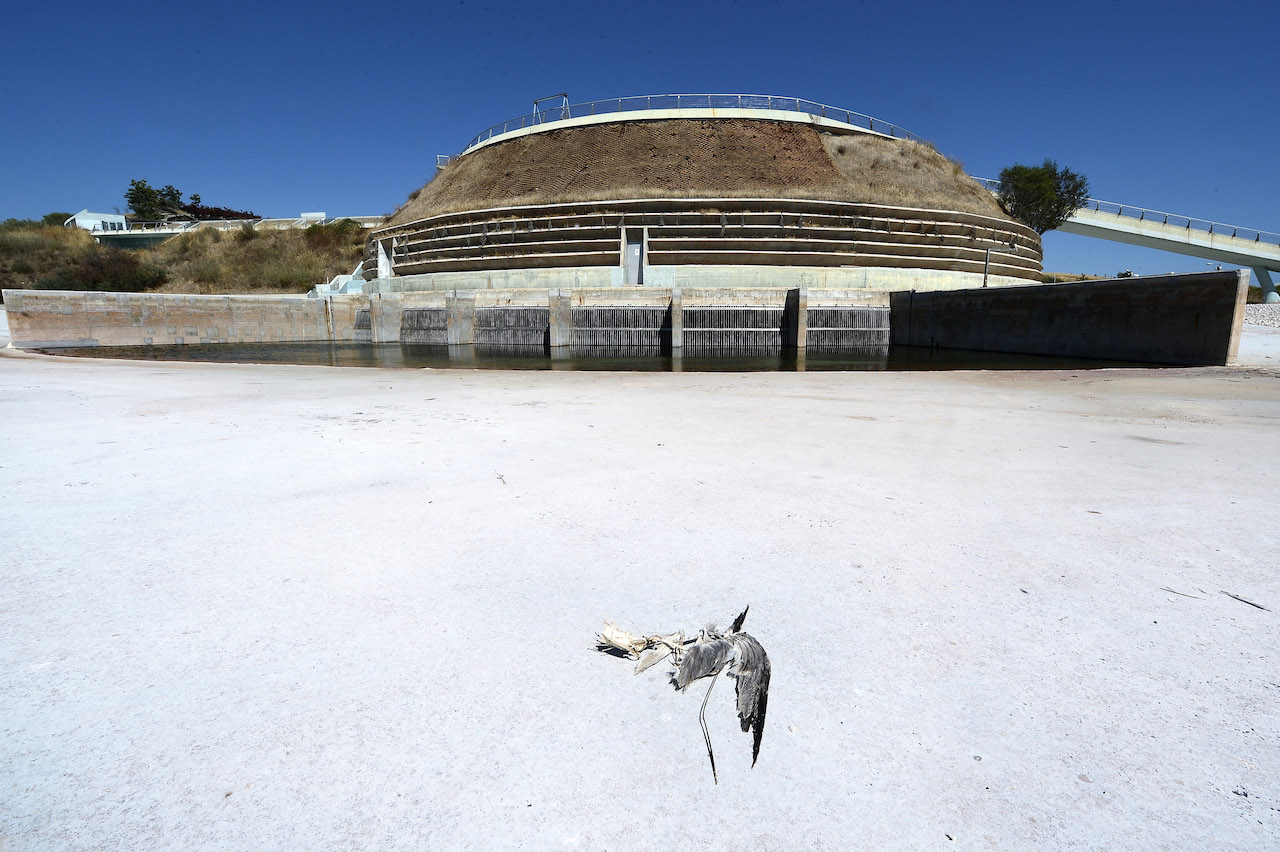 The Desolate State Of Athens Olympic Venues 10 Years Later
