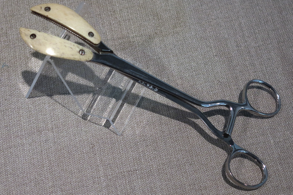 The Extraordinary Evolution Of Scissors