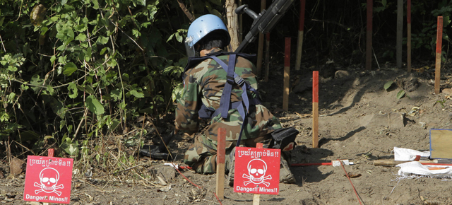 The Newest Weapon In The Fight Against Land Mines Could Be…Plants