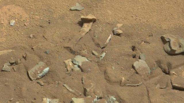 Not Quite Human Bones On Mars