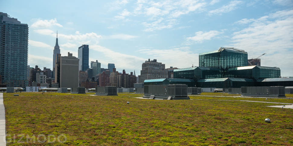 There’s A Giant Green Roof Hidden Above NYC’s Biggest Convention Centre