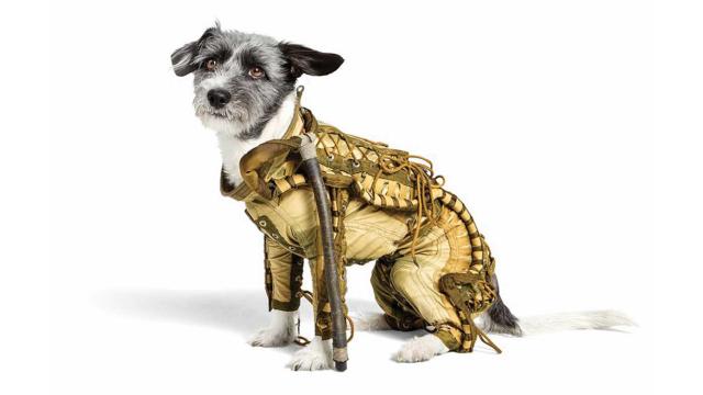 You Can Buy This Adorable, Original Soviet Spacesuit For Your Dog