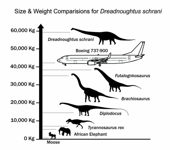 Scientists Have Discovered (Maybe) The Biggest Dinosaur Ever