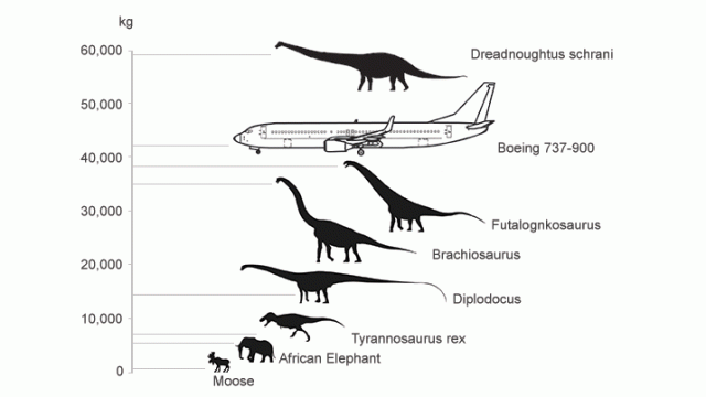 The Size Of Dinosaurs Compared To Aeroplanes, Visualised