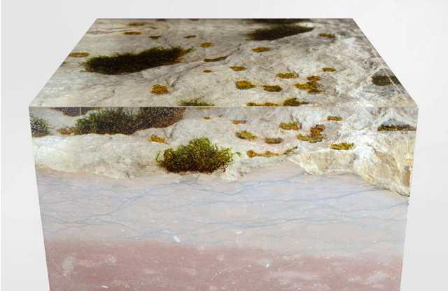 The Natural Moss On This Wooden Bookcase Is Preserved Forever In Resin