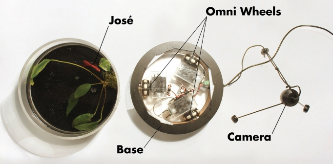 A Mobile Aquarium Steered By A Fish Named José