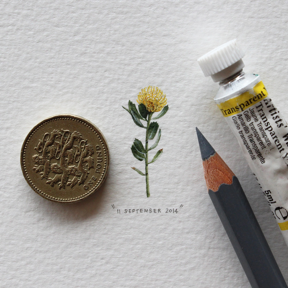 Artists Makes 365 Beautiful Tiny Paintings For Ants
