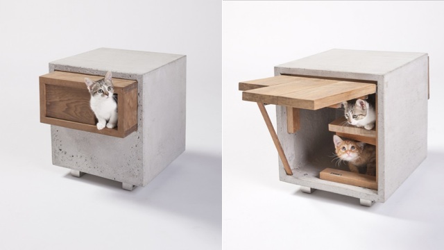 Architects Designed These Intricate Cat Shelters, Because Cats