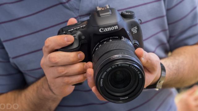 Canon 7D Mark II: Hands On And Test Shots