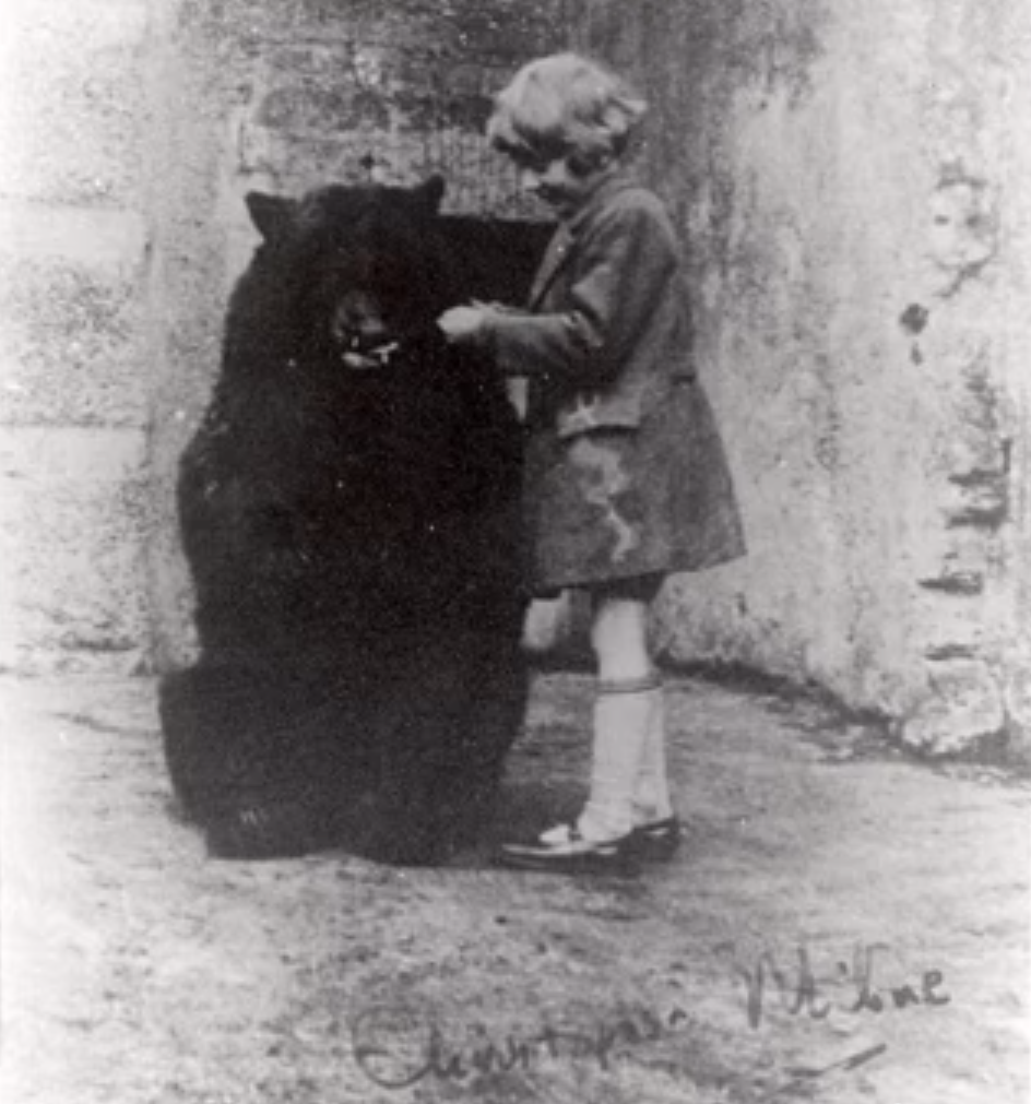 Winnie The Pooh Was Based On A Real Bear That Participated In WWI