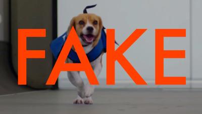 KLM’s Sherlock Dog Is An Adorable Lie