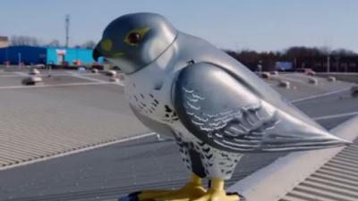 Sydney Opera House’s Robotic Birds Are The (Ridiculously Expensive) Modern-Day Scarecrows
