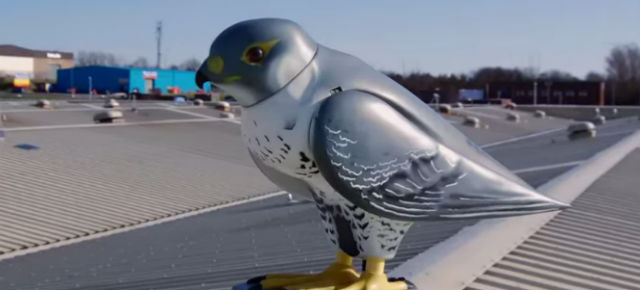 Sydney Opera House’s Robotic Birds Are The (Ridiculously Expensive) Modern-Day Scarecrows