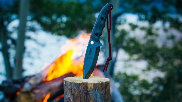 Can A Single Knife Handle Every Bushcraft Job?