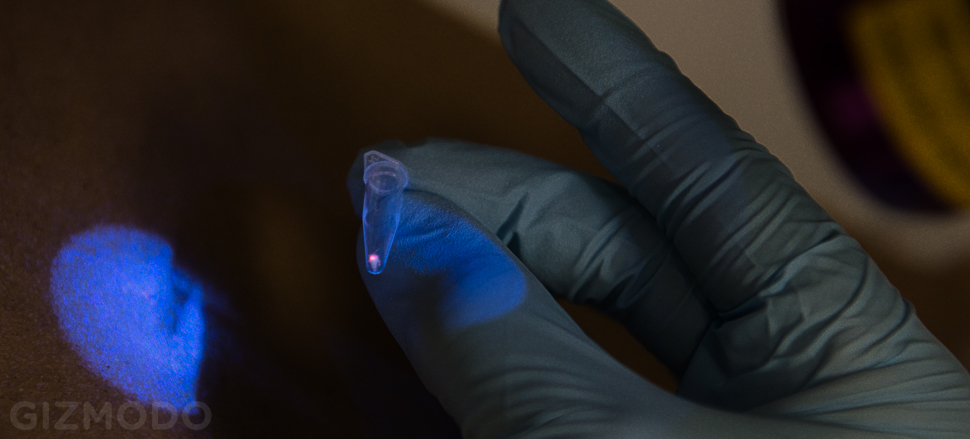 Inside The Forensic Lab That Fights Crime And Counterfeits With DNA