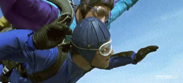 Here’s Proof Peregrine Falcons Dive Faster Than Skydivers