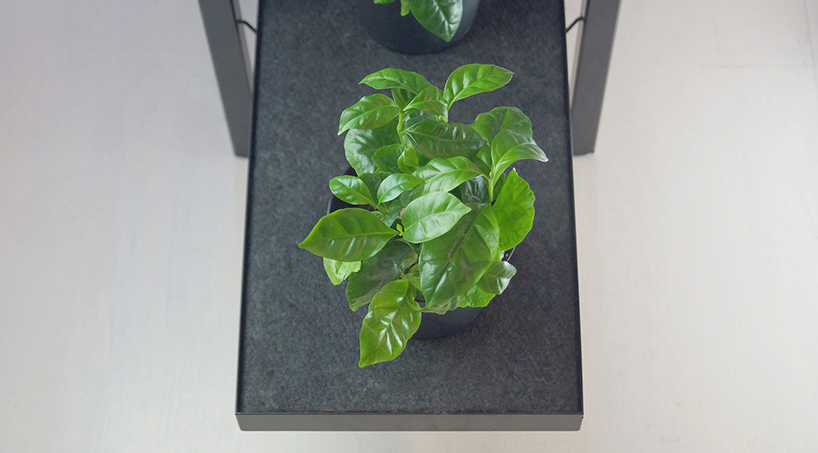 Shelving That Automatically Waters Your Plants, Even When You Forget