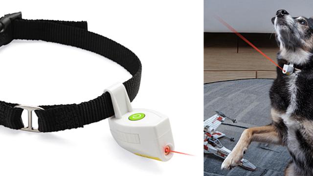 A Collar Laser Pointer Is The Dangling Carrot Your Pet Will Never Catch