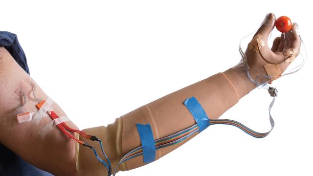 This Life-Like New Prosthetic Hand Lets Amputees Feel Texture