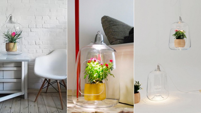 Grow A Miniature Garden With This Hanging Terrarium Lamp