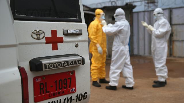 The Owners Of Ebola.com Want $US150,000 For The Domain