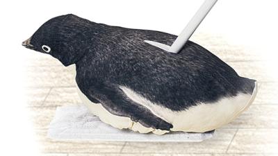 Mopping Is No Longer A Chore With A Penguin Gliding Across Your Floor