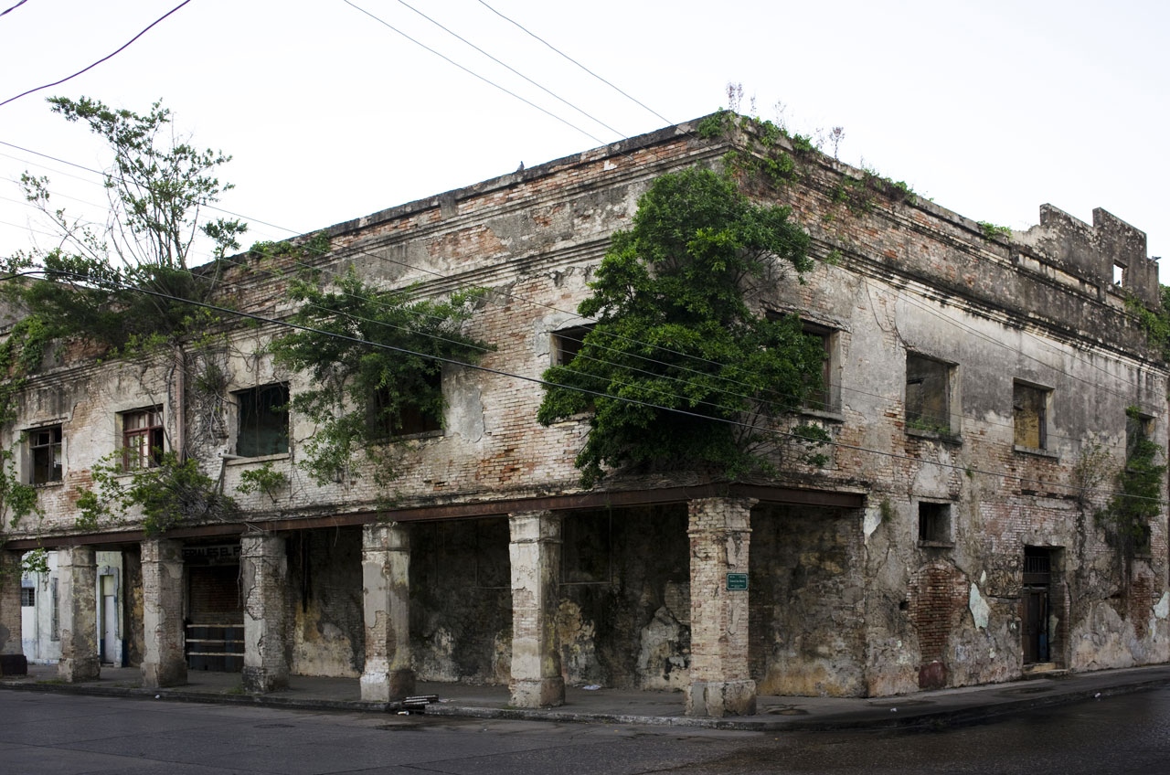 Abandoned Buildings In Tampico, Mexico Are Filled With Trees