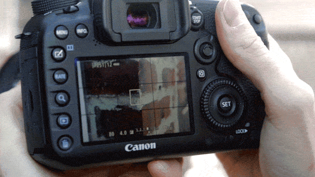 Canon 7D Mark II Review: The Best DSLR For Sports And Wildlife, But That’s All