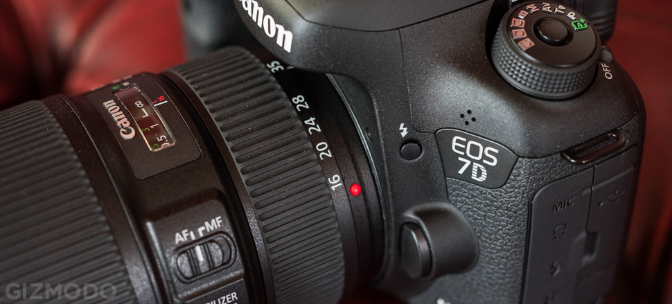 Canon 7D Mark II Review: The Best DSLR For Sports And Wildlife, But That’s All
