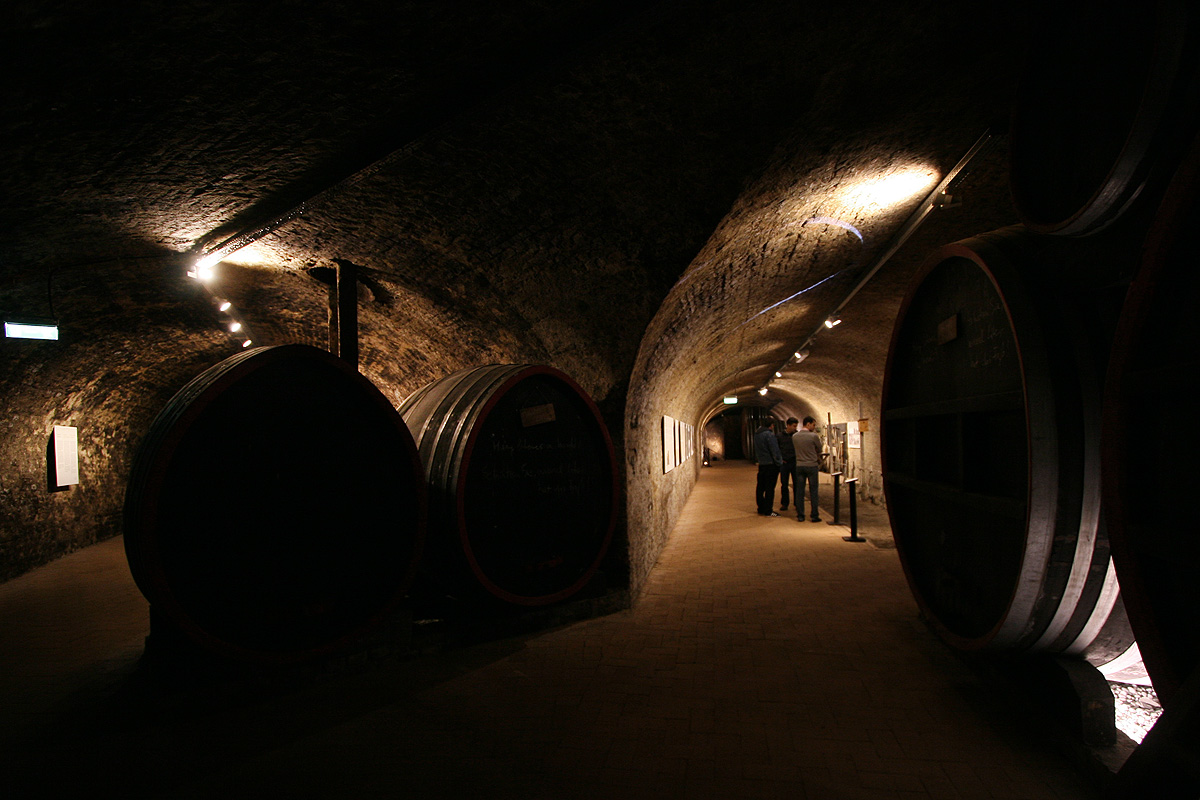 A Rare Tour Inside A 1000-Year-Old High-Tech Winery