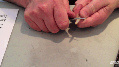 How To Cut A Goose Feather Into A Lovely Quill Pen